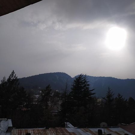 Gogichas Tower Otel Borjomi Oda fotoğraf