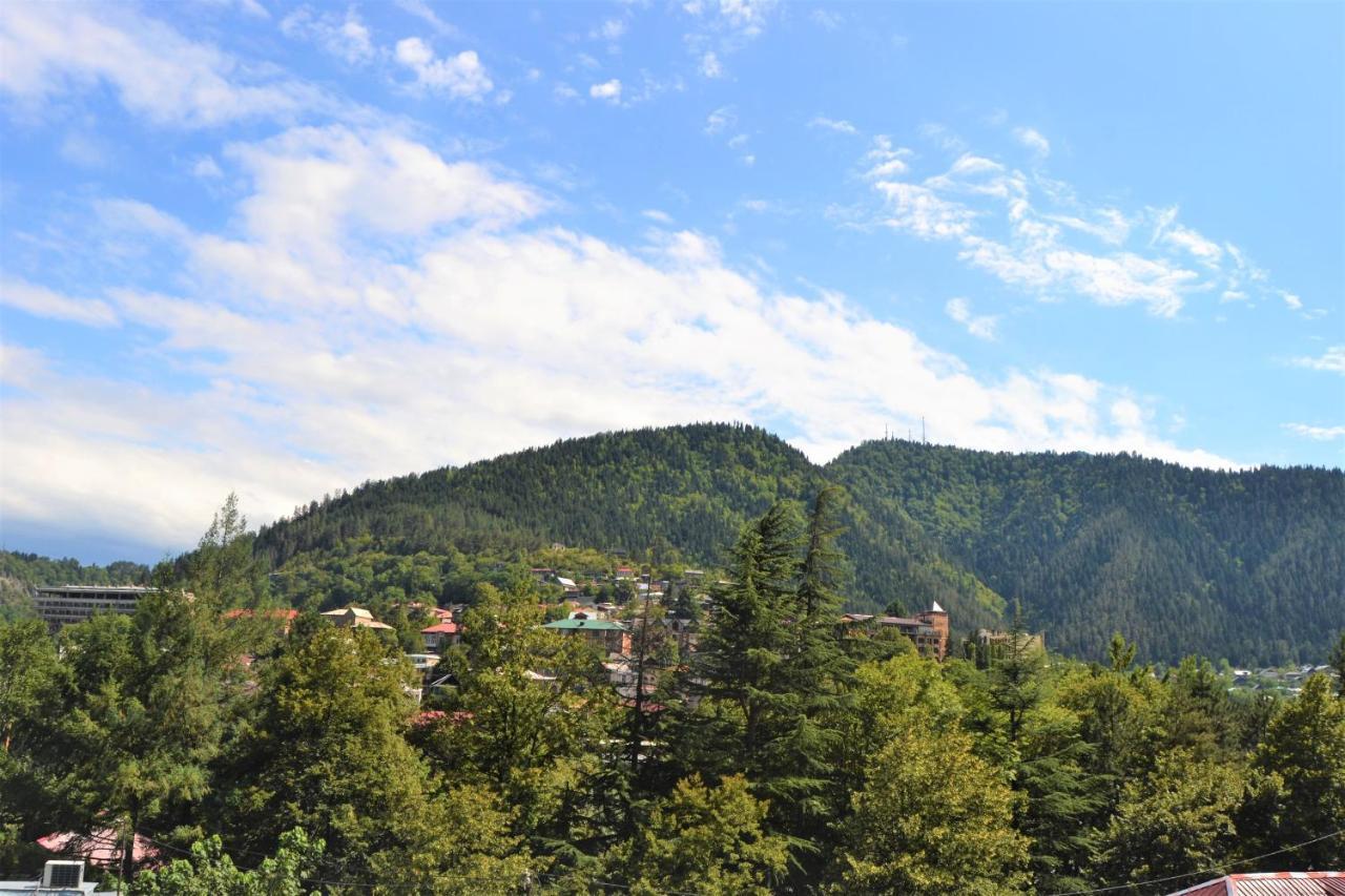 Gogichas Tower Otel Borjomi Dış mekan fotoğraf